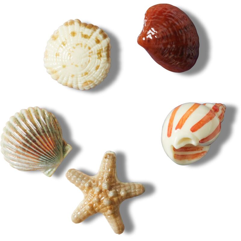 Crocs™ Jibbitz She Sells Seashells 5 Pack 