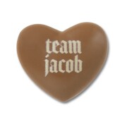 Crocs™ Jibbitz Twilight Team Jacob 