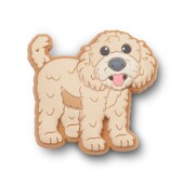 Crocs™ Jibbitz Golden Doodle Puppy 196265894581 