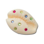 Crocs™ Jibbitz Gem Puka Shell 198445175022 