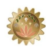 Crocs™ Jibbitz Gold Enchanted Sun 198445128554 