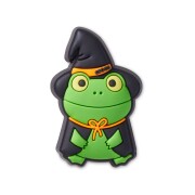 Crocs™ Jibbitz Froggie Witch 198445231759 