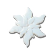 Crocs™ Jibbitz Iridescent Magical Flower 198445237638 