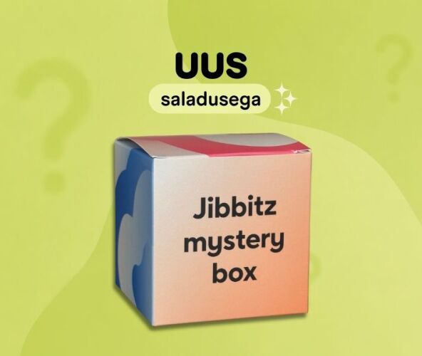 crocs jibbitz mystery box