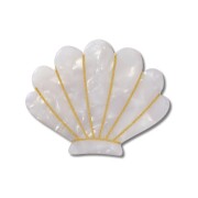 Crocs™ Jibbitz White And Gold Seashell 198445175183 